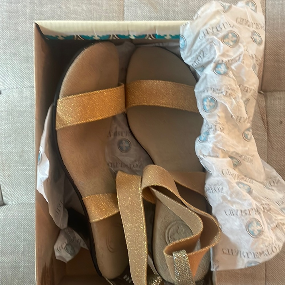 Charleston shoe sandals. These have a shimmer to them .2 inch heel.